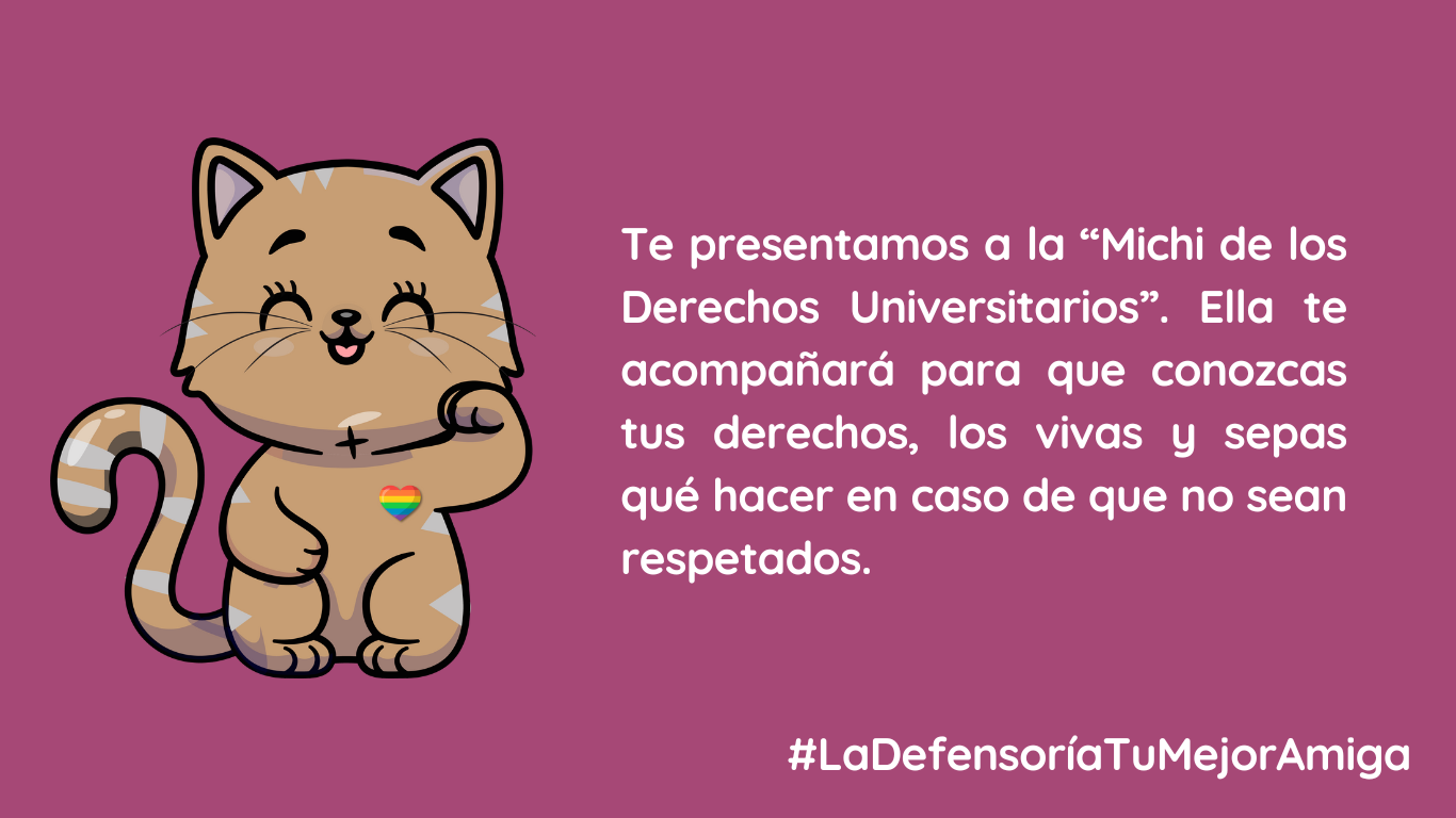 Imagen de explicación de la campaña