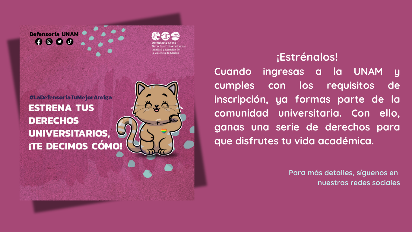 Imagen de explicación de la campaña