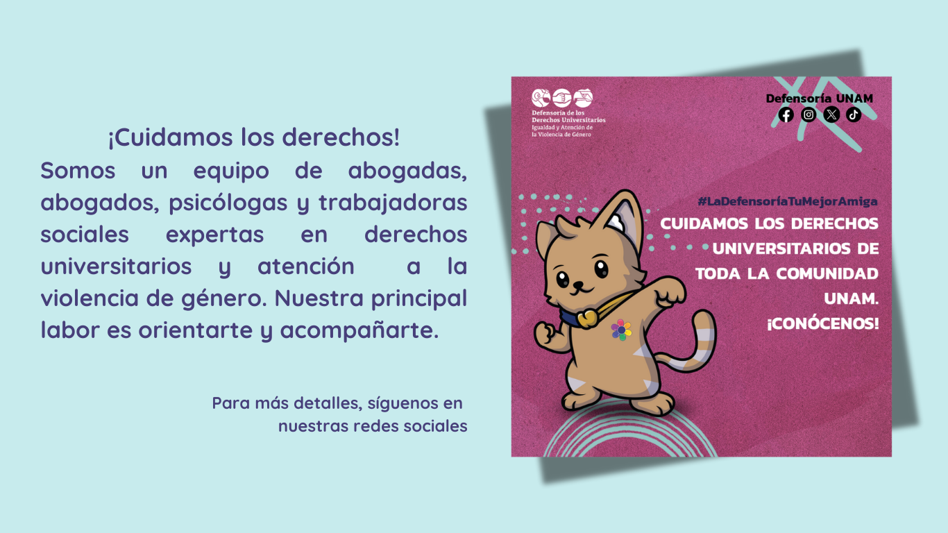 Imagen de explicación de la campaña