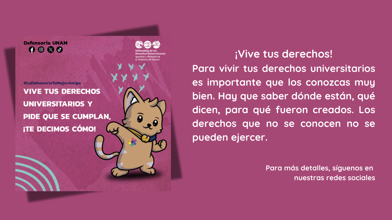 Imagen de explicación de la campaña