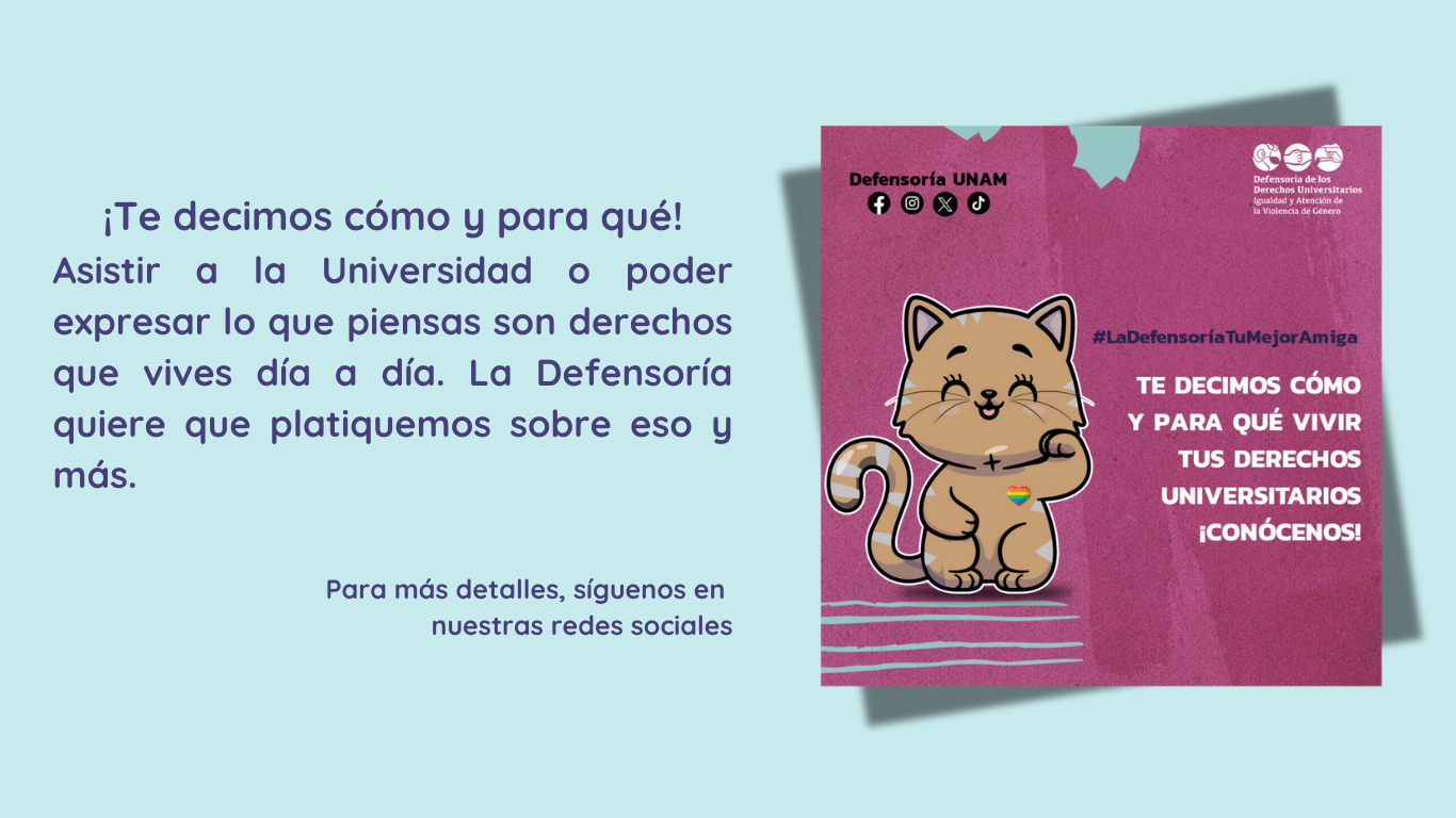 Imagen de explicación de la campaña