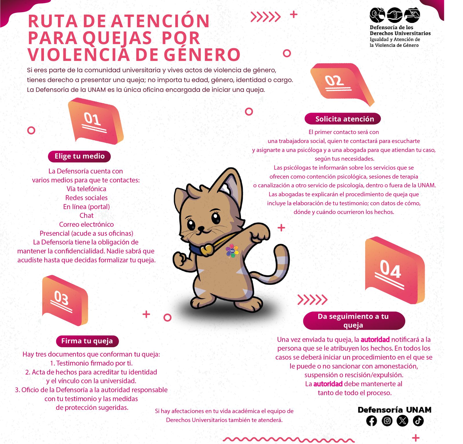 Imagen de explicación de ruta de atención