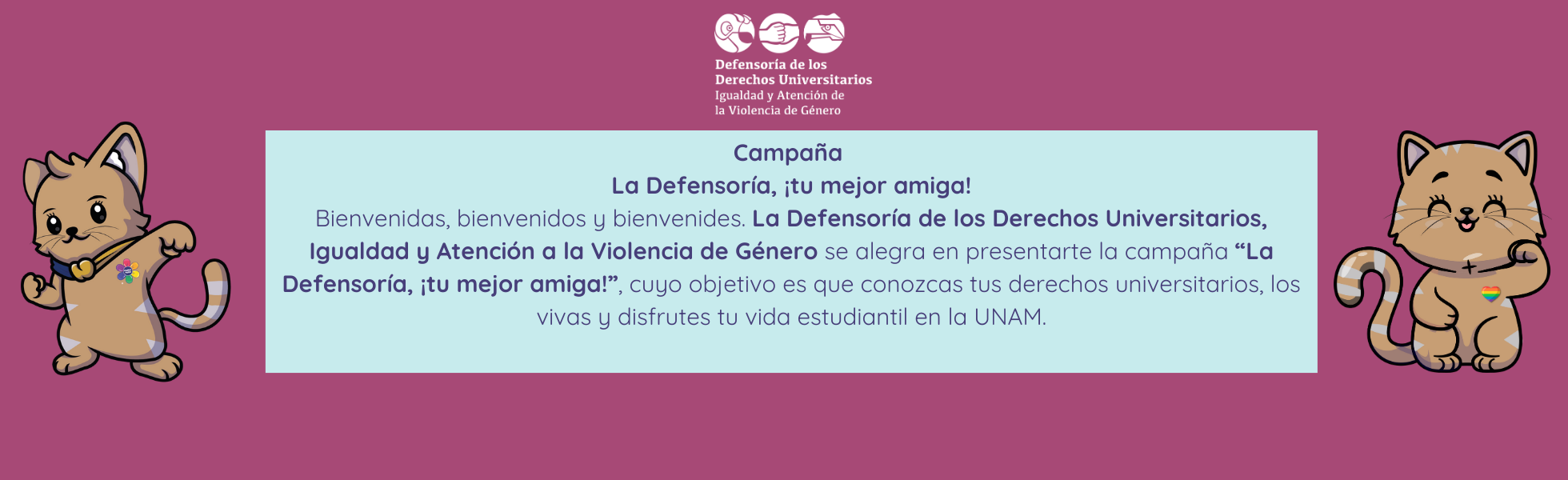 Banner informativo